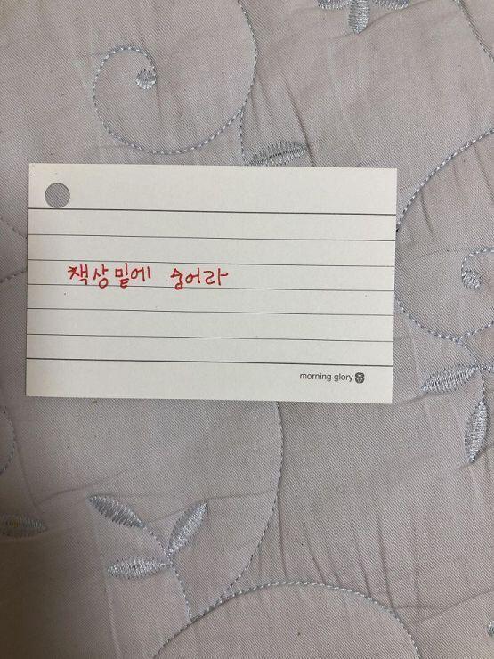 히히 일주일정도 있다가 태워야겠다