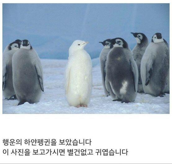 이것 좀 보라구!!!!