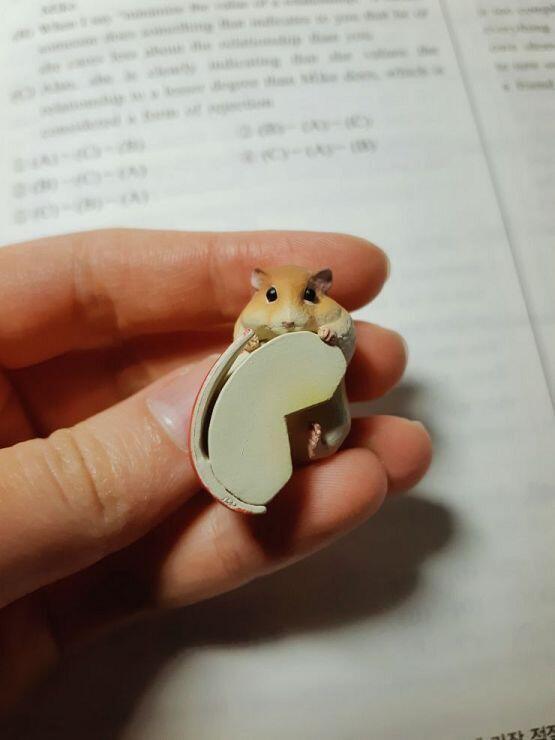 스레주,,,, 낮이랑 밤에 스케쥴 꽉꽉 차있어서 새벽밖에 시간이 안될것 같슴다,,,,, 며칠 뒤에 돌아오겠어요,,,,, 그냥 가긴 아쉬우니까 비