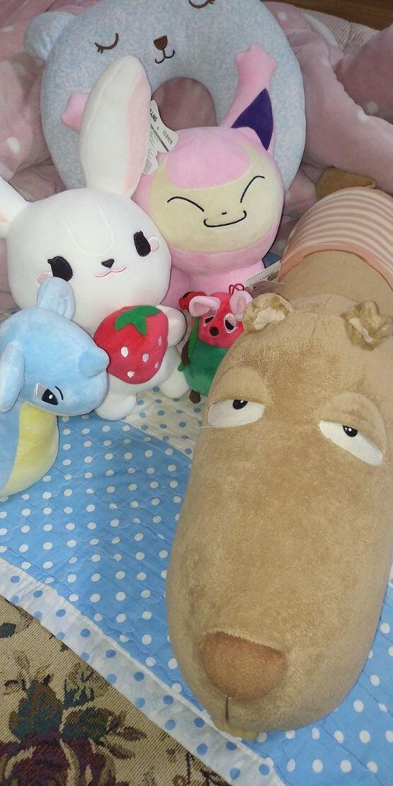 하하! 내 반려인형은 하나가 아니다! 다들 엄청 적구나? 여기는 일부다처, 일처다부제라고! 이중 최애 인형은 강아지 인형(푸코)랑 하얀 사막여우