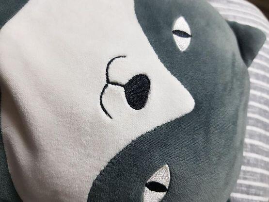 우리 애옹이야! 친구 만났네