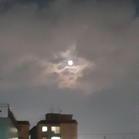 헐 완전 잘찍혔어....난 엄청 흐리멍텅하게 찍혔더라..ㅠㅠ