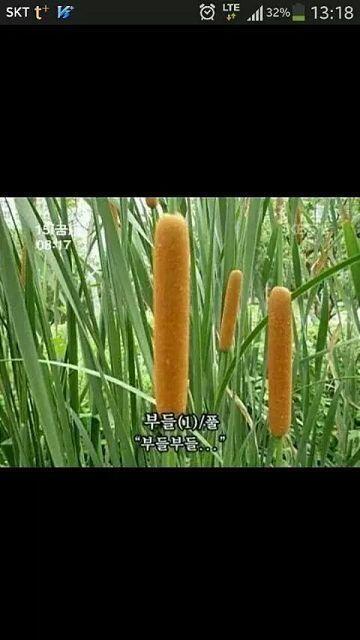 >>325 부들부들.....