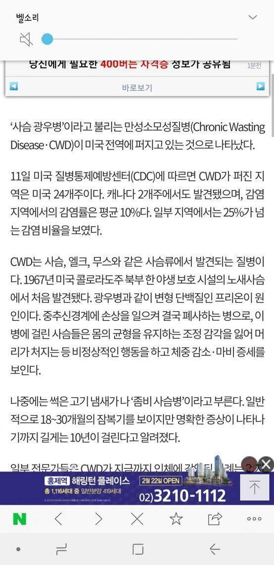 그냥 부산행인데....?