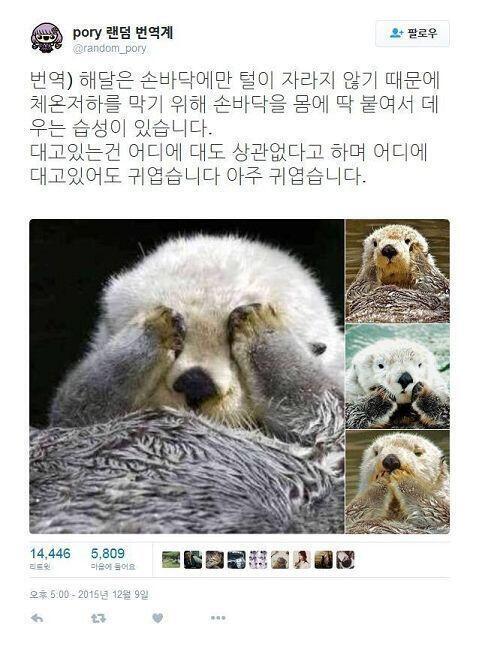 귀욥따
