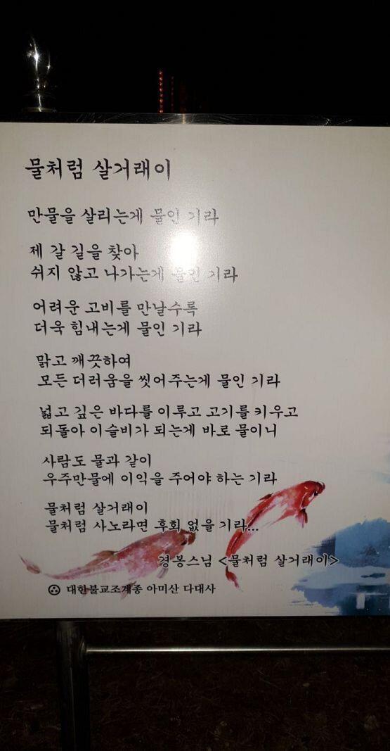 산길 입구에는 신당같은게 있었는데 말이야 옛말로 절이나 신당은 사진찍는게 아니라고해서 이거밖에 못찍었네 어둡고 비까지와서 꽤나 무서웠기에 나랑