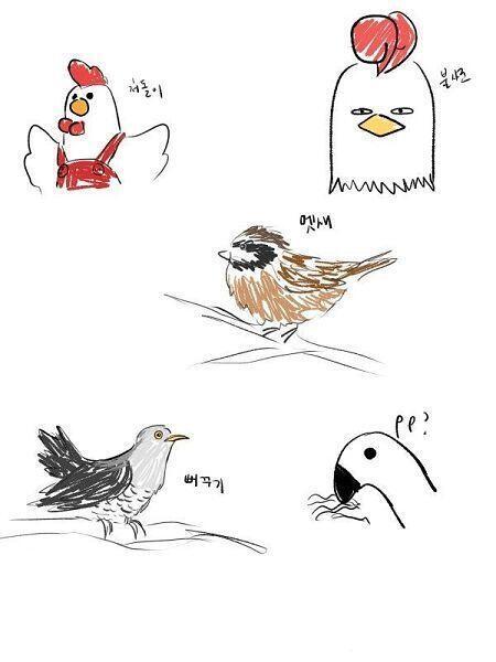 심심해서 동물 그리는 연습 좀 해볼까 싶아사 멧새랑 뻐꾸기 사진보고 그리다가 점점 아는 새들 다나옴 근데 진짜 동물들 너무 그리기 힘듦...