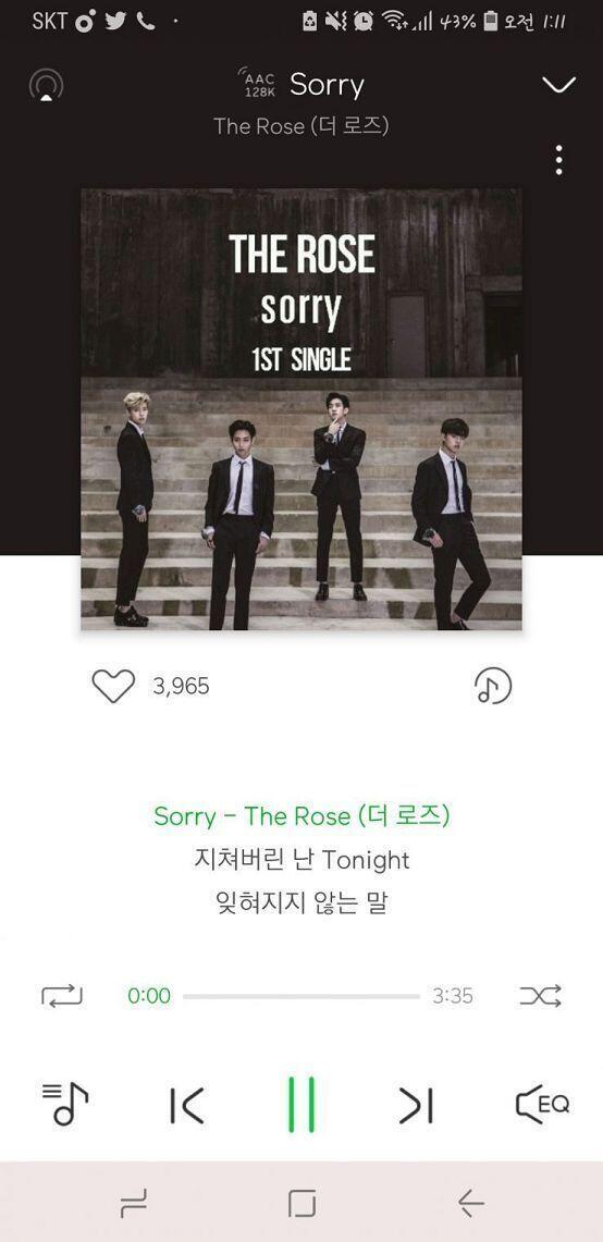 더로즈 - sorry
