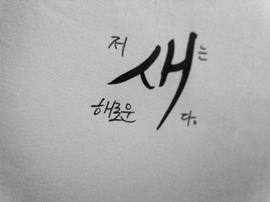 >>11 >>12 >>13 이야 신청고마워!