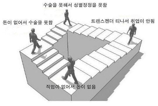 난 다행히 좋은 직장 잡았지만 많은 트젠 인생