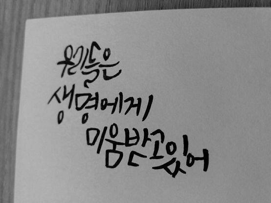 >>45 ~ >>47 ((나도 생명에게 미움받고 있어 좋아해 ))))) ) 개인적인 용도로 편집같은거 해두 돼! 대신 편집같은거 하거나 뭐 이용