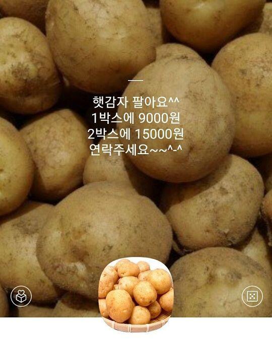 ㅎㅋㅎㅋㅎㅋㅎㅋ