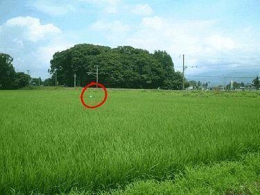 귀찮아서 표시해옴...