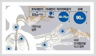 현재 정.부.는 개.인과 기.업의 책.임과 의.무 그리고 준비만 강조하고 있음 그러나 지금은 국.ㄱㅏ. 차원의 대응책과 계획이 필요하고 가동 돼