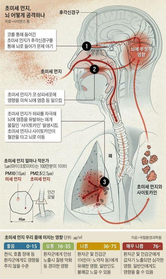 현재 정.부.는 개.인과 기.업의 책.임과 의.무 그리고 준비만 강조하고 있음 그러나 지금은 국.ㄱㅏ. 차원의 대응책과 계획이 필요하고 가동 돼