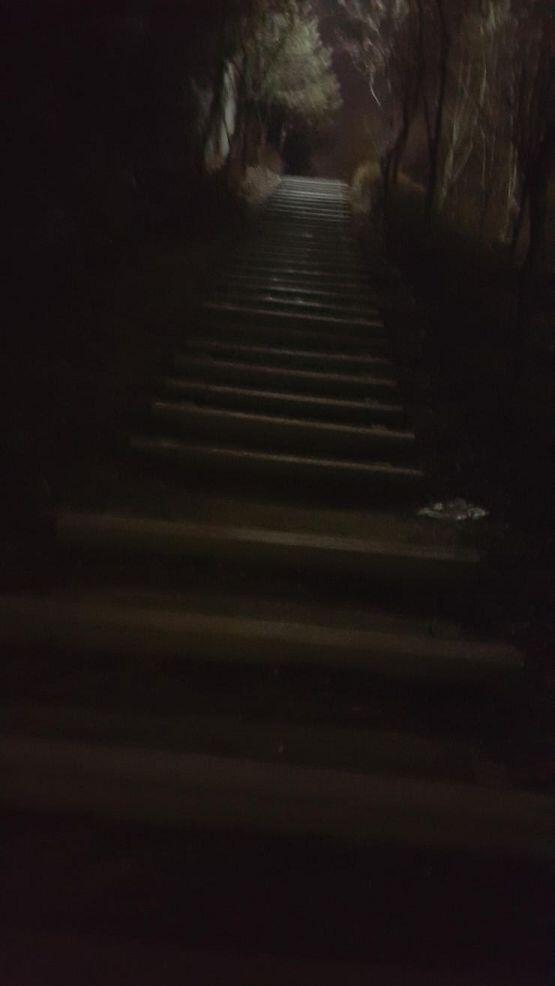 반경 100미터 이내에 나밖에 없어 살려줘..