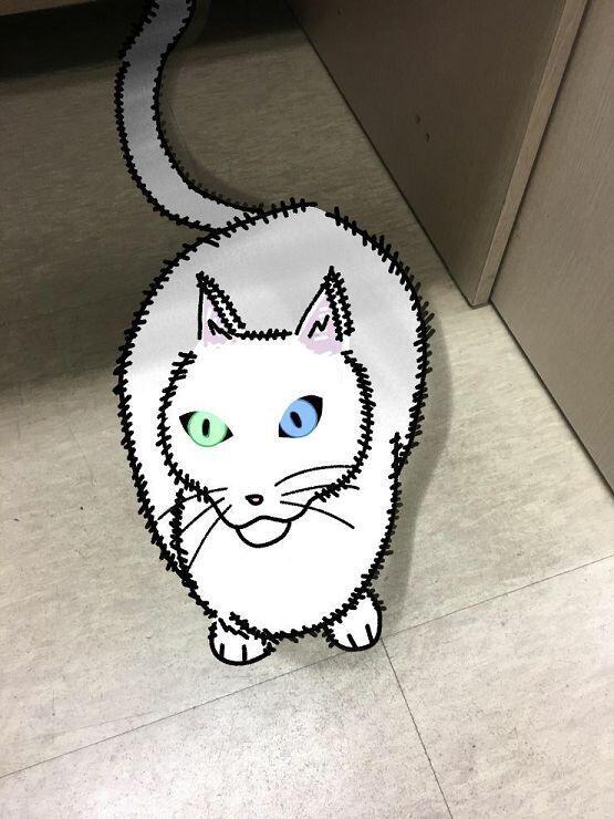 >>2 안타깝고 딱한 이여... 네게 고양이를 선물해주마...
