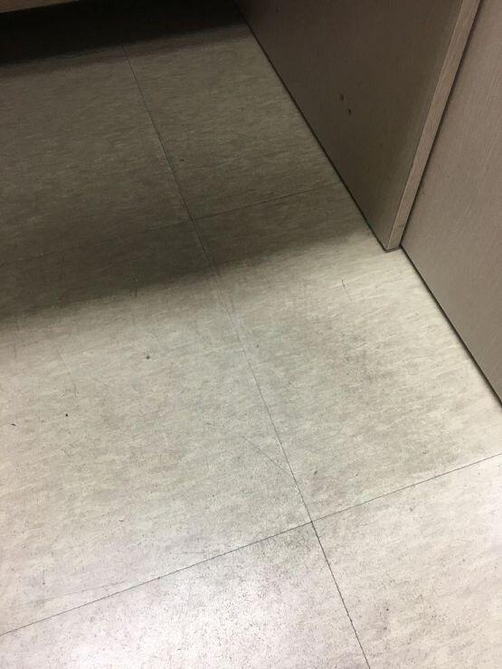 우리집 고양이야! 이쁘지? 이쁘다고 해조.. 귀엽고 사랑스럽다구... 말해조......ㄸㄹ...ㄹ..