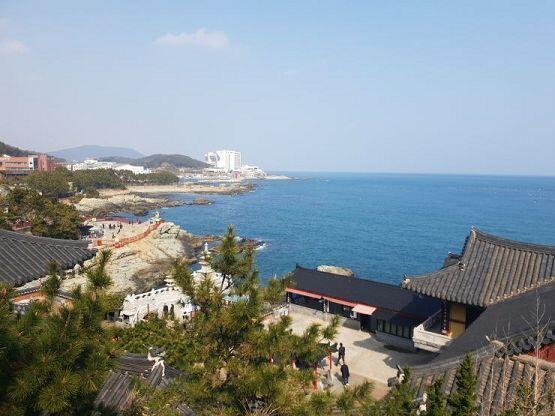 >>32 앗, 사람은 많다고 하긴 했는데 일단 내가 갔을 때는 방학때니까 그 영향도 컸을거야... 그리고 절이 워낙 넓어서 사람에 치이거나 그러