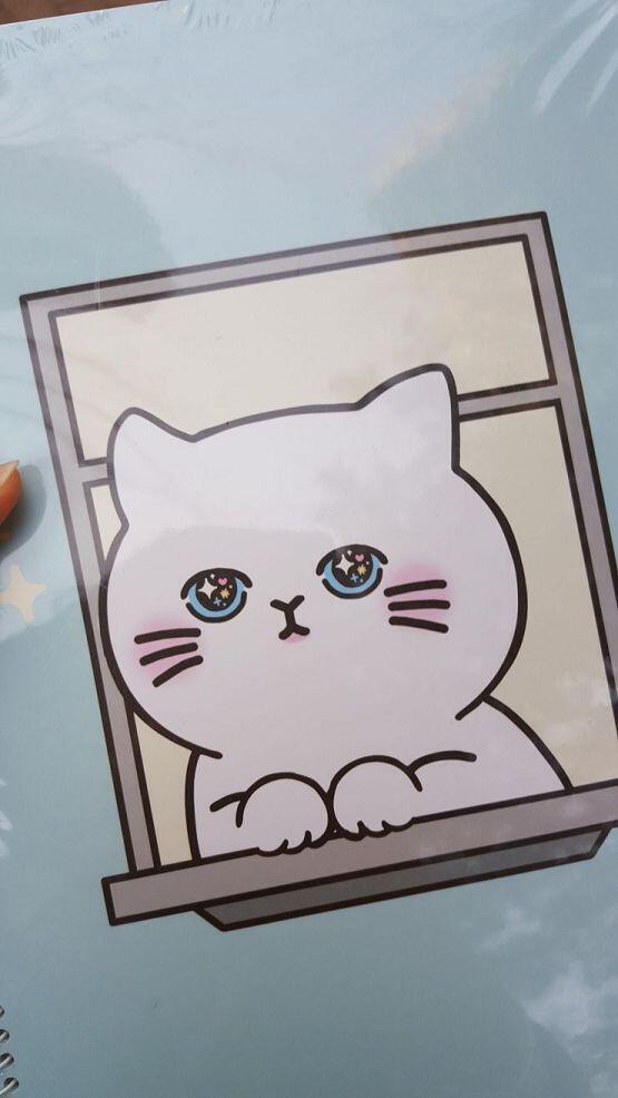 고양이 나만없어