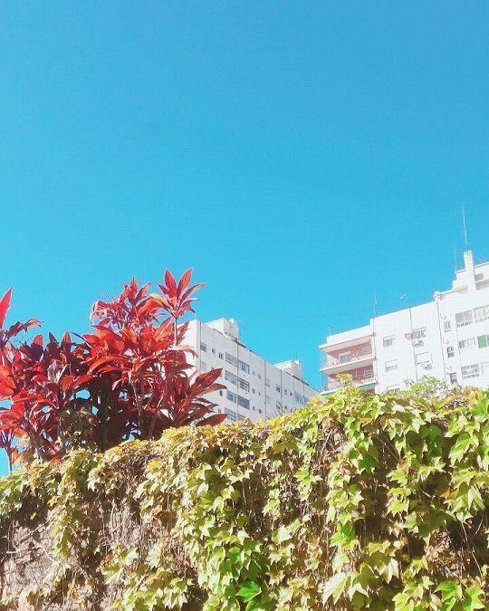 그럼 나도 내가 찍은 거 올려볼까나. 나도 위 레더처럼 외국에서 살고 있는데 여기는 날씨 하나는 진짜 좋아. 이 사진은 작년 가을이었나 그럴거야