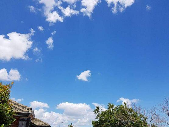>>9 비만 안오면 늘 저렇구 이래.