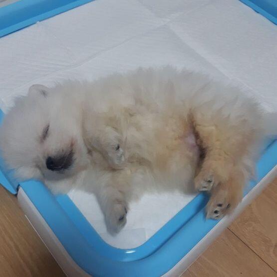 지금 이렇게 자 ㅜㅜ