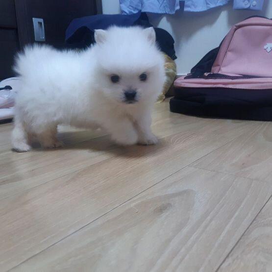 >>6 ㅋㅋㅋㅋ 그래? 그러면 방금 찍은거로 더 올려볼게!