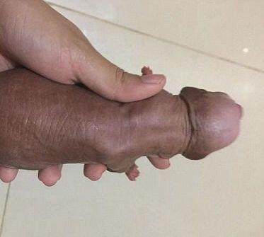 꿀꿀