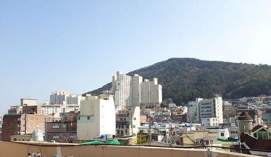 ㅠㅠ... 다시 옥상 올라가고 싶다 돗자리 깔고 피크닉하기 딱 좋음