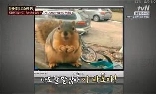 ㅡ기철이