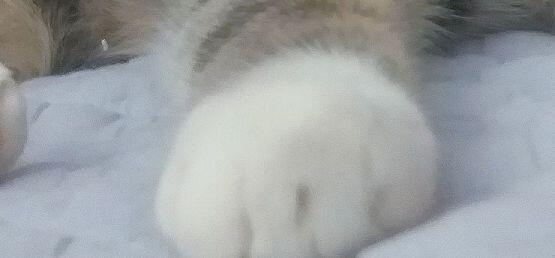손이 너무 귀여워ㅠㅠ