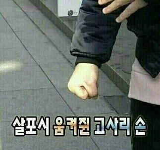 얘들아 미안해..난 사실 폰이 죽어서 새 폰을 가졌는데 그동안있었던 짤이 다 날라가서 이 스레 세운거였슴 ㅋ ㅋㅋㅋ ㅋㅋㅋㅋㅋㅋㅋㅋㅋㅋ 그러니 