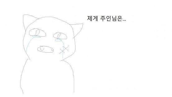 고양이 착해짐 ㅠㅠ