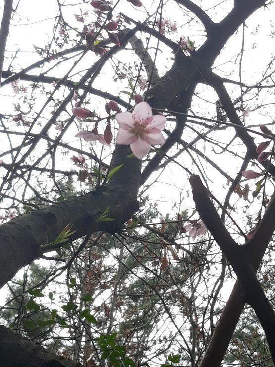 언젠가 절 뒤쪽 숲에서 발견! 예뿌지이 난 사진작가들 참 멋지다고 생각해