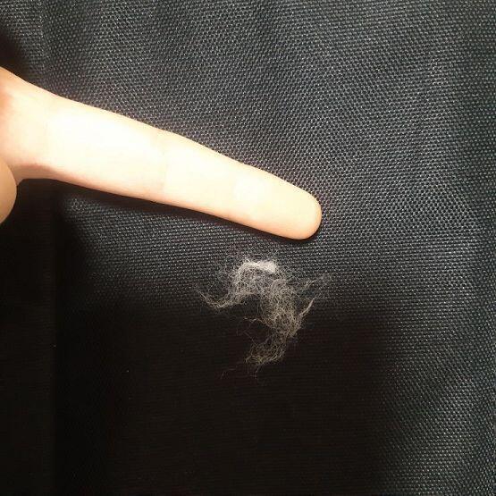 털 모아보니까 저 정도...? 한마디 좀 부족하게 모였어 아가라서 그런가