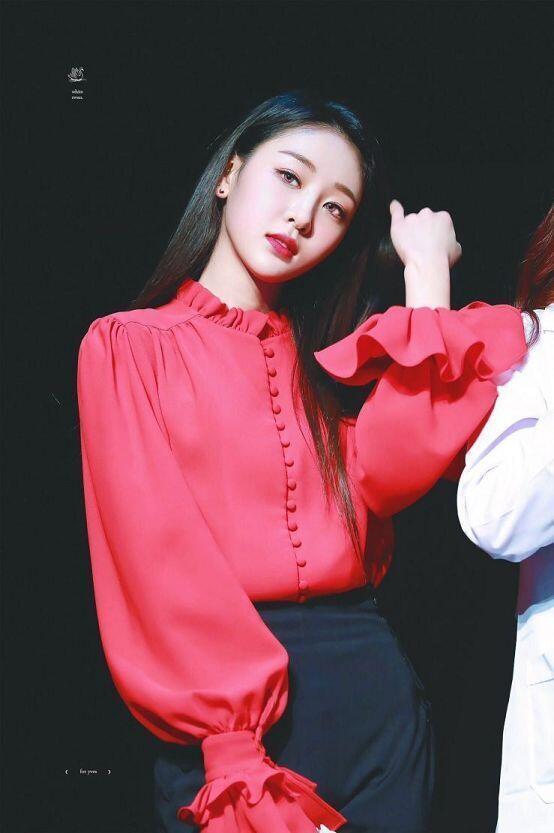 있지 예지 이달소 올리비아 혜, 이브, 진솔, 하슬 오마이걸 지호, 비니 레드벨벳 슬기, 아이린 라붐 지엔 사진은 후첨...