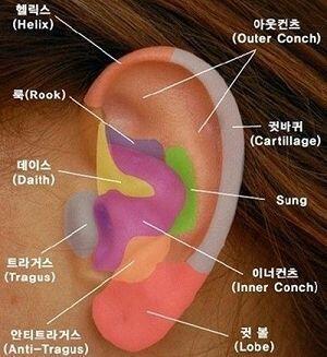 >>8 제일잘걸릴걸..? 안경다리가 저쪽으로 가니까