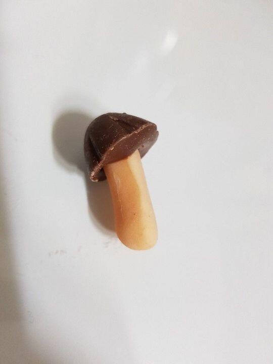 송이젤리 이렇게 생김