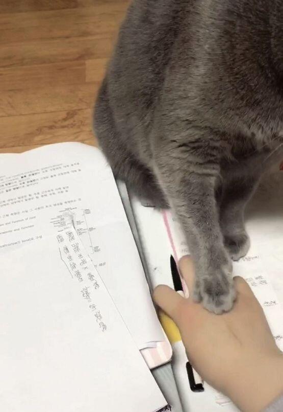 볼펜 뺄려다 걸리고
