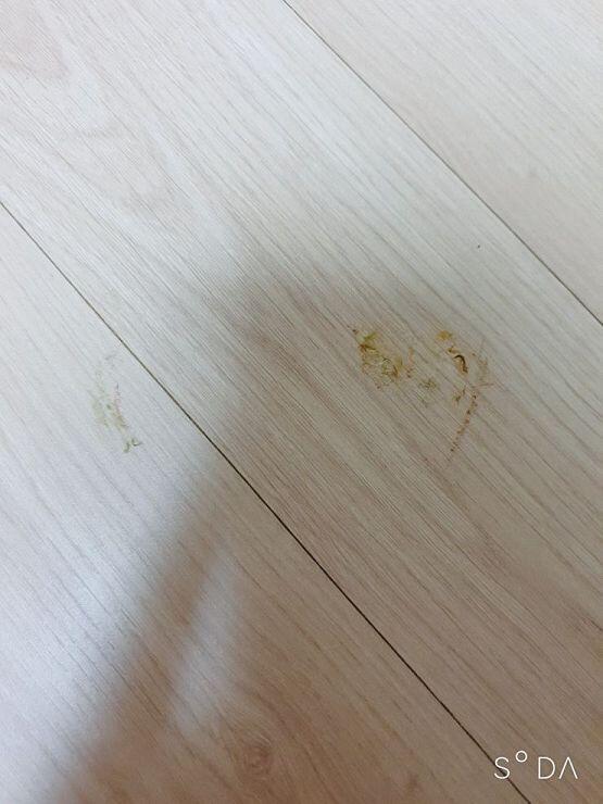 그가 머물다간 자리... 고마워ㅠㅠ 진짜 천재인거같아