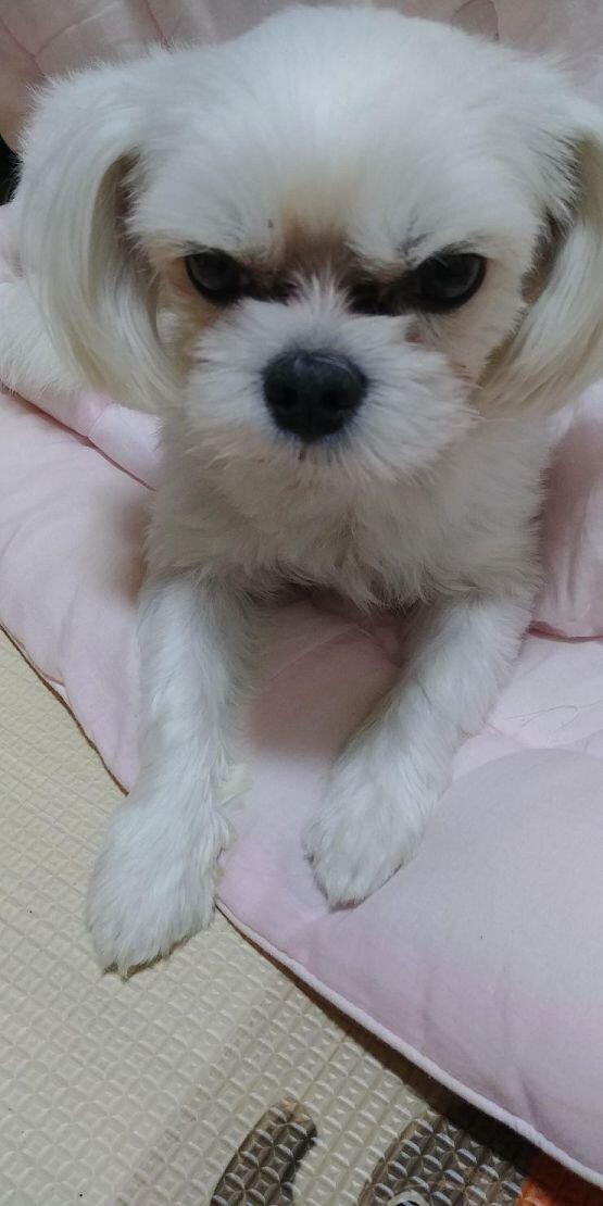 그리고 테오 2살때 사진들 ㅎㅎ...!