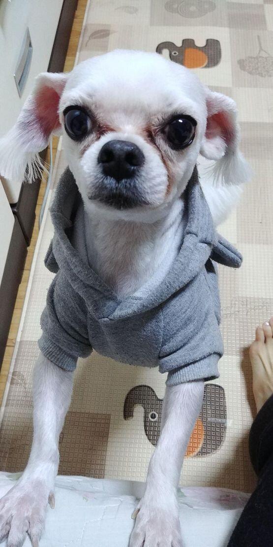 그리고 테오 2살때 사진들 ㅎㅎ...!