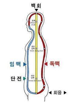 위에 임맥 독맥이 뭔가 해서 찾아보니까 나오는 사진이더라 ㅇㅇ 차크라 위치랑은 좀 다르네 차크라 위치는 척추중심인뎅