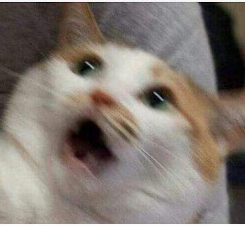 >>3 이럴수가!! 역효과닷;;;