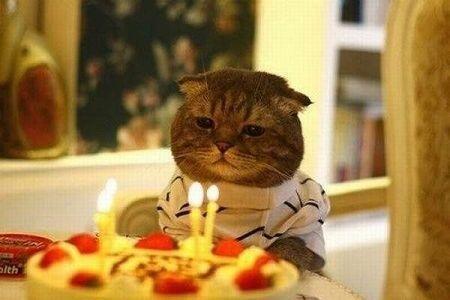 생일 축하해! ㅎㅎ