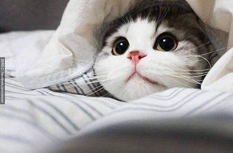 고마웡 ㅎㅎ