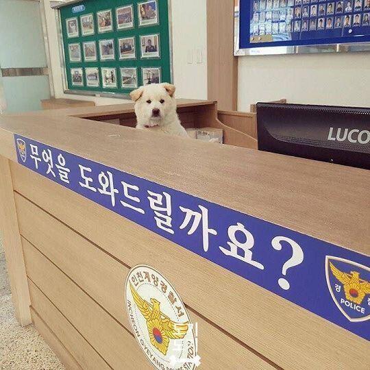 어서오세요
