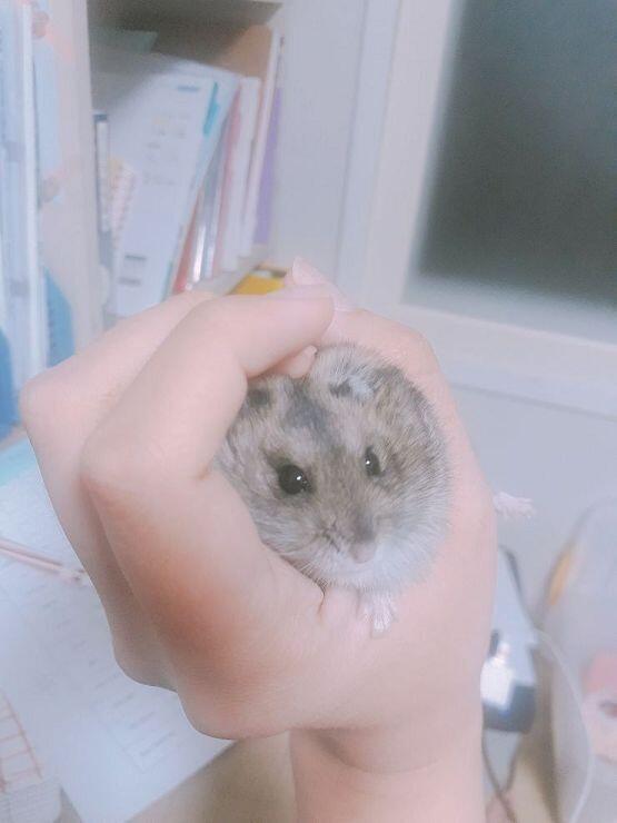 끄윽 귀어ㅗ오