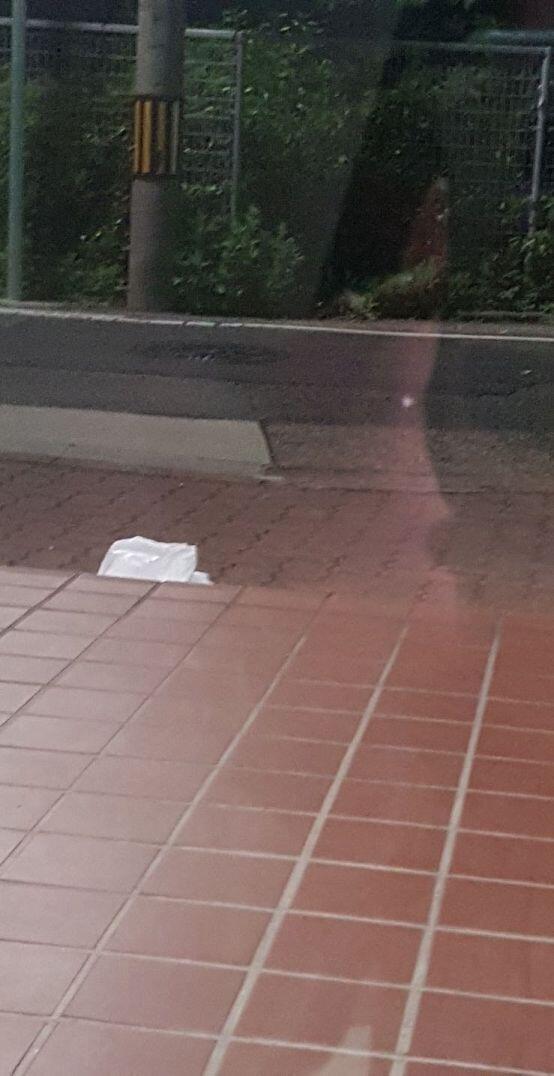내일이면 상하겠지